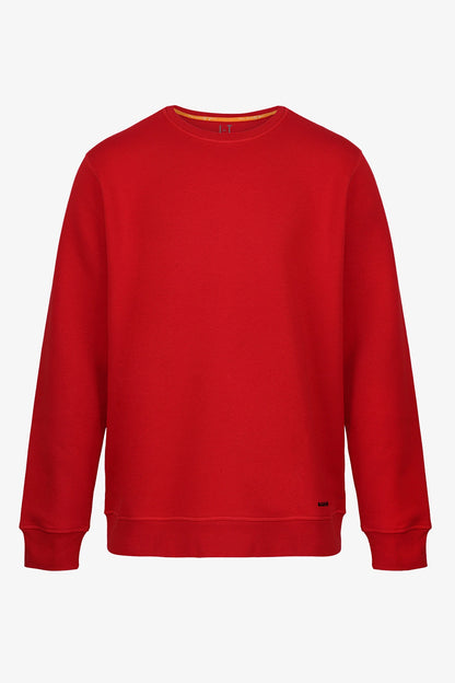 Sweatshirt - "BRUSH HGHTWR"