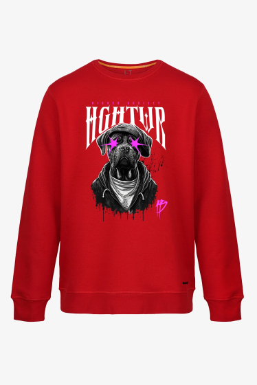 Sweatshirt "195 BOX".
